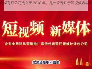 嫩草文化传媒有限公司成立于 2018 年，是一家专注于短视频内容创作和营销的公司