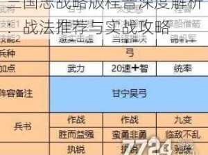 三国志战略版程普深度解析：战法推荐与实战攻略