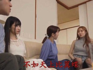 双双飞 MV 里的精彩产品介绍