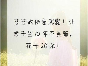 让婆婆和狗老公和谐相处的秘密武器