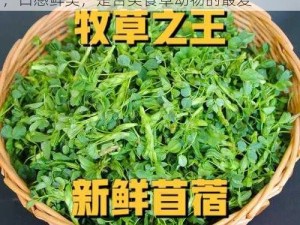 青青草原牌天然牧草，富含蛋白质和维生素，口感鲜美，是各类食草动物的最爱