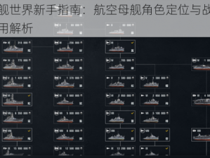 战舰世界新手指南：航空母舰角色定位与战术运用解析