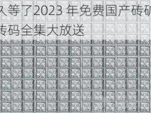 久等了2023 年免费国产砖矿砖码全集大放送