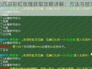 梦幻西游彩虹玫瑰获取攻略详解：方法与技巧介绍