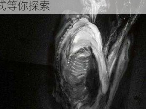 SP 的标准惩罚是什么？SCP 系列科幻猎奇游戏，多种惩罚方式等你探索