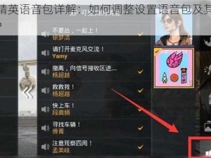 和平精英语音包详解：如何调整设置语音包及其位置指南？