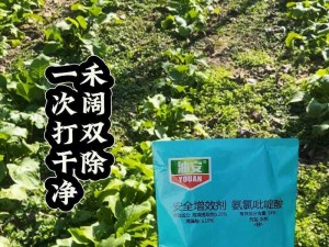 一杆大枪草全家，绿色环保除草剂，除草更护园