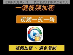 红桃视颏隐藏人口：一款功能强大的视频加密工具