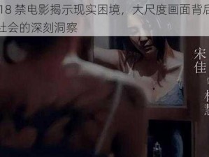 国产 18 禁电影揭示现实困境，大尺度画面背后是人性与社会的深刻洞察