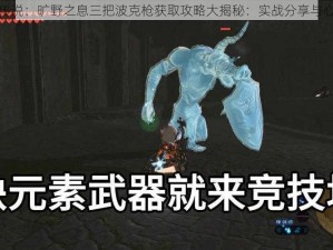 塞尔达传说：旷野之息三把波克枪获取攻略大揭秘：实战分享与心得总结