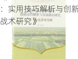 《叮叮堂成功征战秘诀：实用技巧解析与创新战术研究》