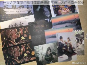 一人之下蓬莱门派红莲萌新修炼宝典：入门指南全解析