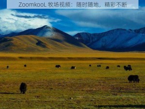 ZoomkooL 牧场视频：随时随地，精彩不断