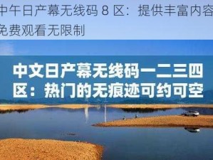 中午日产幕无线码 8 区：提供丰富内容，免费观看无限制