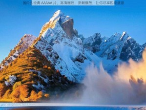 国内久经典 AAAAA 片，高清画质，流畅播放，让你尽享视觉盛宴