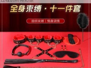 最新成人情趣用品，满足你对男人女人做爰过程的所有幻想