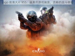 csgo 高清大片 955：逼真的游戏画面，流畅的战斗体验