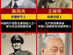 从弟子到长老：暴走大侠丐帮晋升之路的贡献揭秘