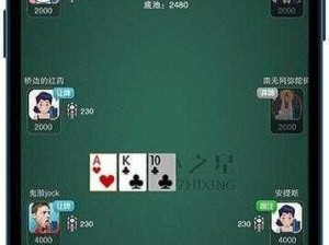 免费看 www 打扑克软件大全，汇集多款热门扑克游戏，无需注册登录，即点即玩