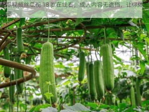 草莓丝瓜视频丝瓜视 18 岁在线看，成人内容无遮挡，让你体验极致视觉盛宴