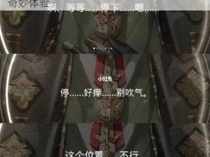 陆沉塞玩具 lofter：一场虚拟与现实交织的奇妙体验