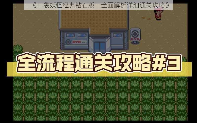 《口袋妖怪经典钻石版：全面解析详细通关攻略》