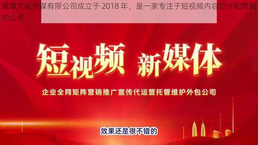 嫩草文化传媒有限公司成立于 2018 年，是一家专注于短视频内容创作和营销的公司