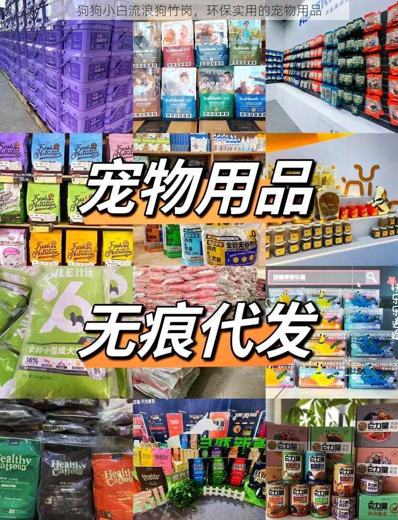 狗狗小白流浪狗竹岗，环保实用的宠物用品