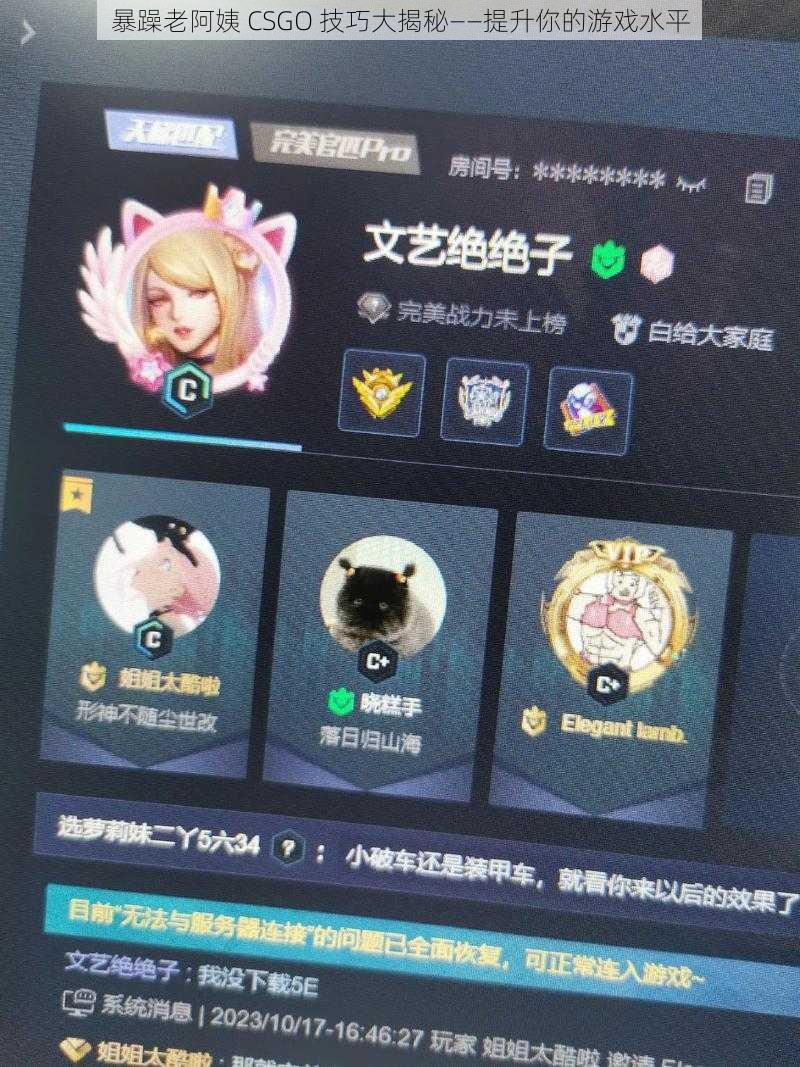 暴躁老阿姨 CSGO 技巧大揭秘——提升你的游戏水平