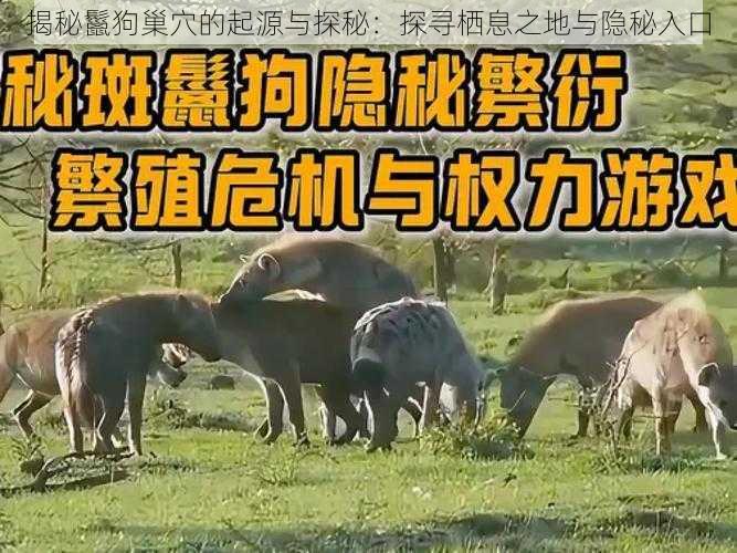 揭秘鬣狗巢穴的起源与探秘：探寻栖息之地与隐秘入口