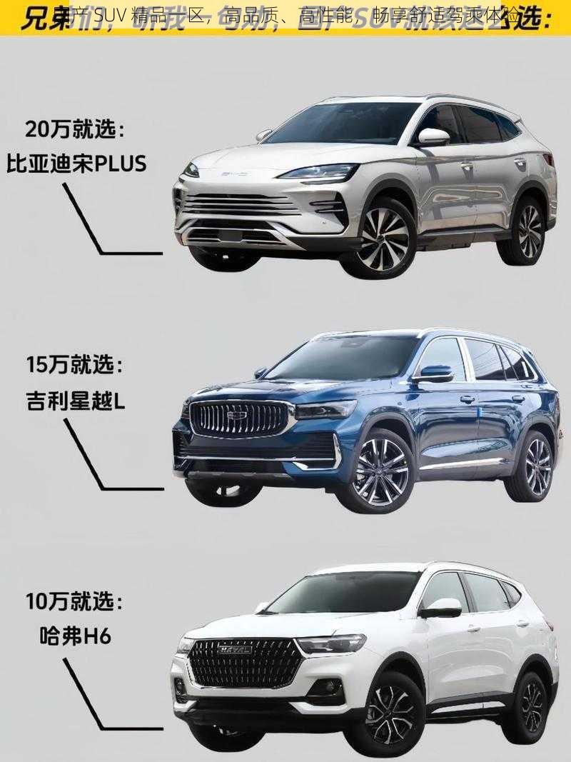 国产 SUV 精品一区，高品质、高性能，畅享舒适驾乘体验