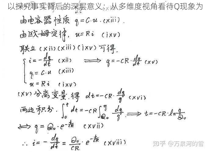 以探究事实背后的深层意义：从多维度视角看待Q现象为