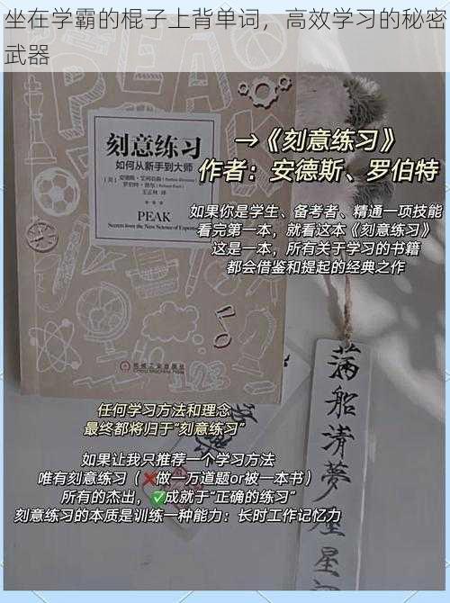 坐在学霸的棍子上背单词，高效学习的秘密武器