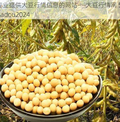 专业提供大豆行情信息的网站——大豆行情网 51dadou2024