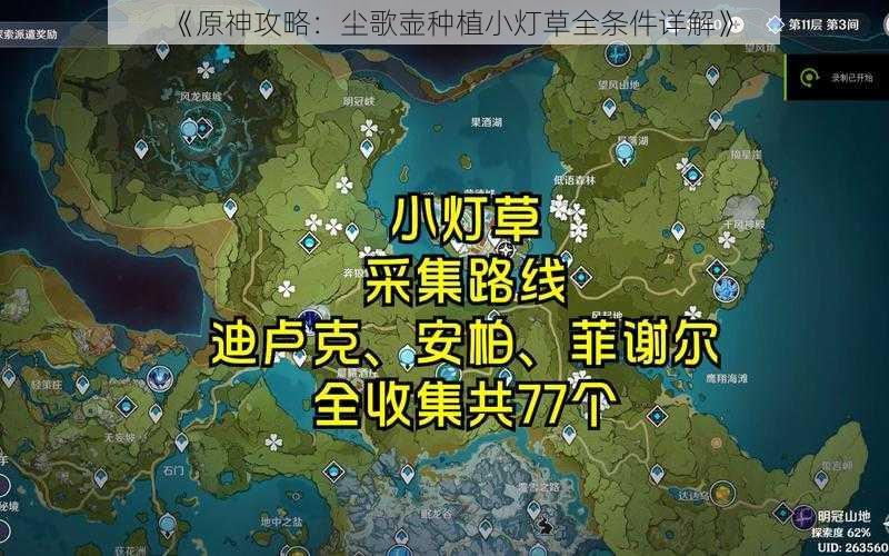 《原神攻略：尘歌壶种植小灯草全条件详解》