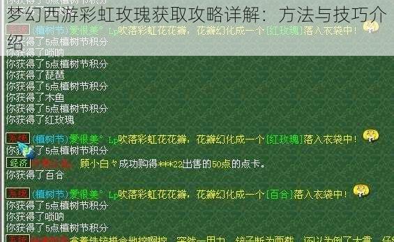 梦幻西游彩虹玫瑰获取攻略详解：方法与技巧介绍