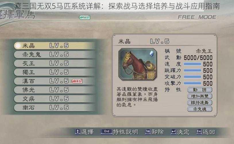 真三国无双5马匹系统详解：探索战马选择培养与战斗应用指南