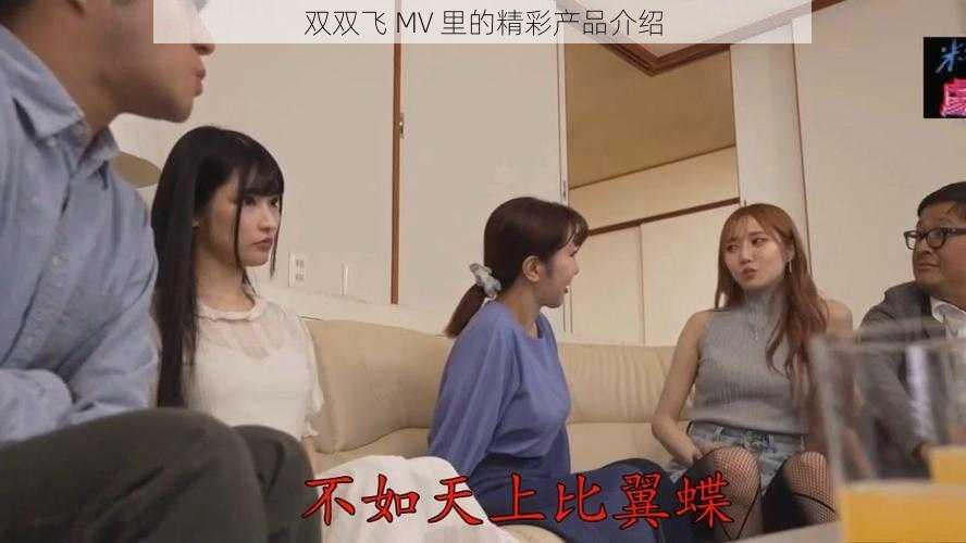 双双飞 MV 里的精彩产品介绍