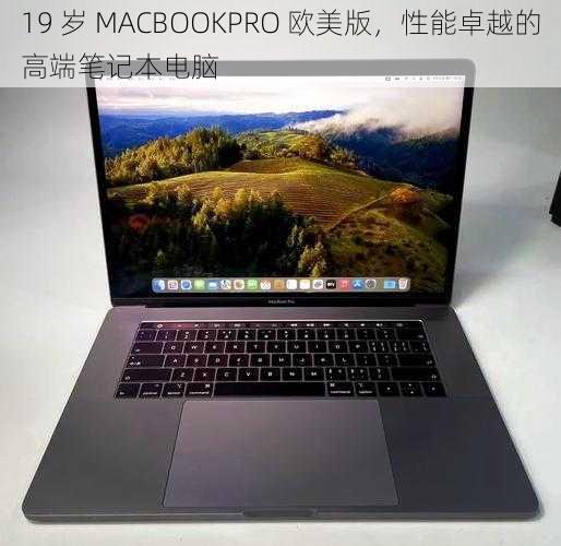 19 岁 MACBOOKPRO 欧美版，性能卓越的高端笔记本电脑