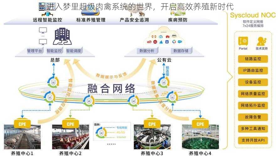 进入梦里超级肉禽系统的世界，开启高效养殖新时代