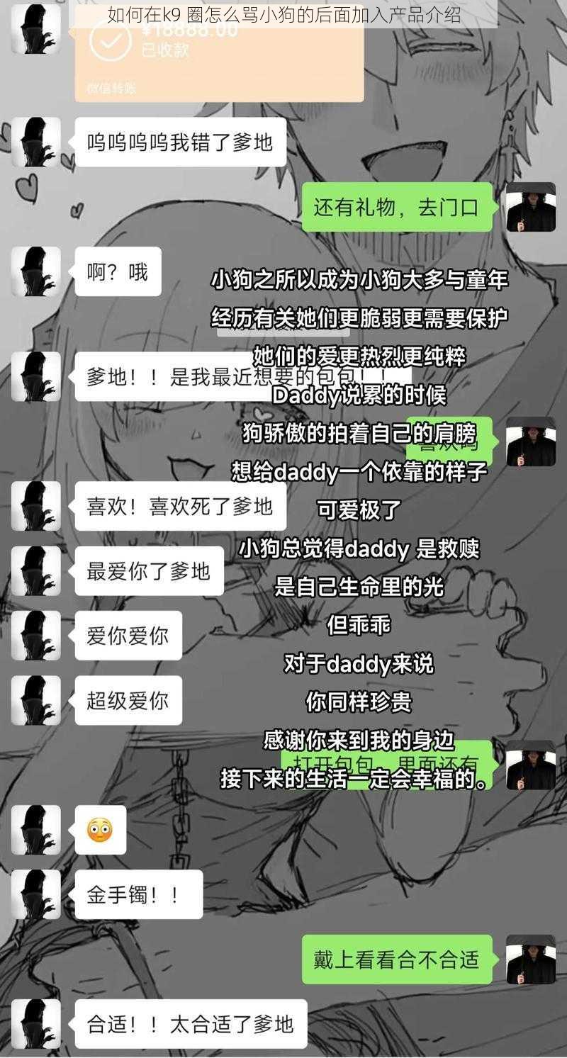 如何在k9 圈怎么骂小狗的后面加入产品介绍