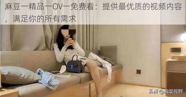 麻豆一精品一OV一免费看：提供最优质的视频内容，满足你的所有需求