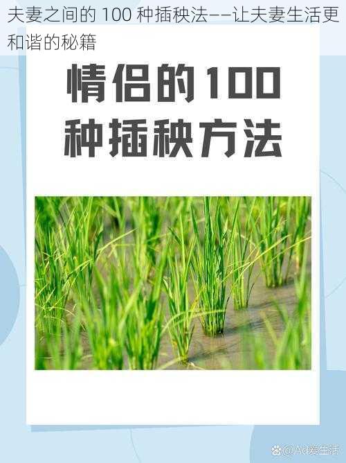 夫妻之间的 100 种插秧法——让夫妻生活更和谐的秘籍