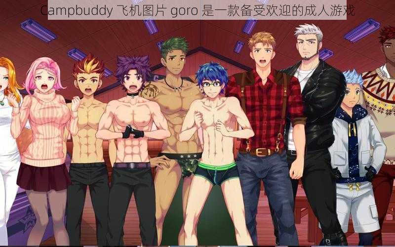 Campbuddy 飞机图片 goro 是一款备受欢迎的成人游戏