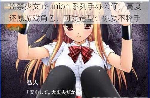 监禁少女 reunion 系列手办公仔，高度还原游戏角色，可爱造型让你爱不释手