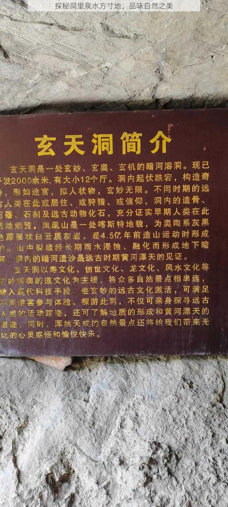 探秘洞里泉水方寸地，品味自然之美