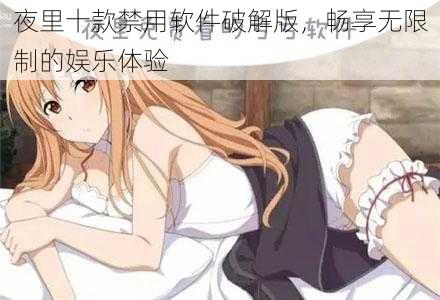 夜里十款禁用软件破解版，畅享无限制的娱乐体验