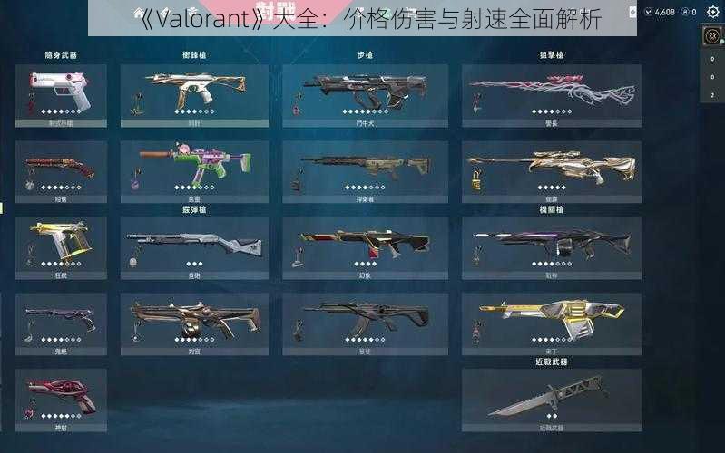 《Valorant》大全：价格伤害与射速全面解析