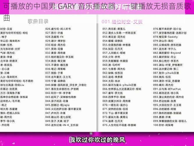 可播放的中国男 GARY 音乐播放器，一键播放无损音质歌曲