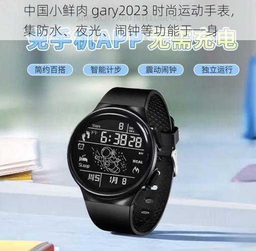 中国小鲜肉 gary2023 时尚运动手表，集防水、夜光、闹钟等功能于一身